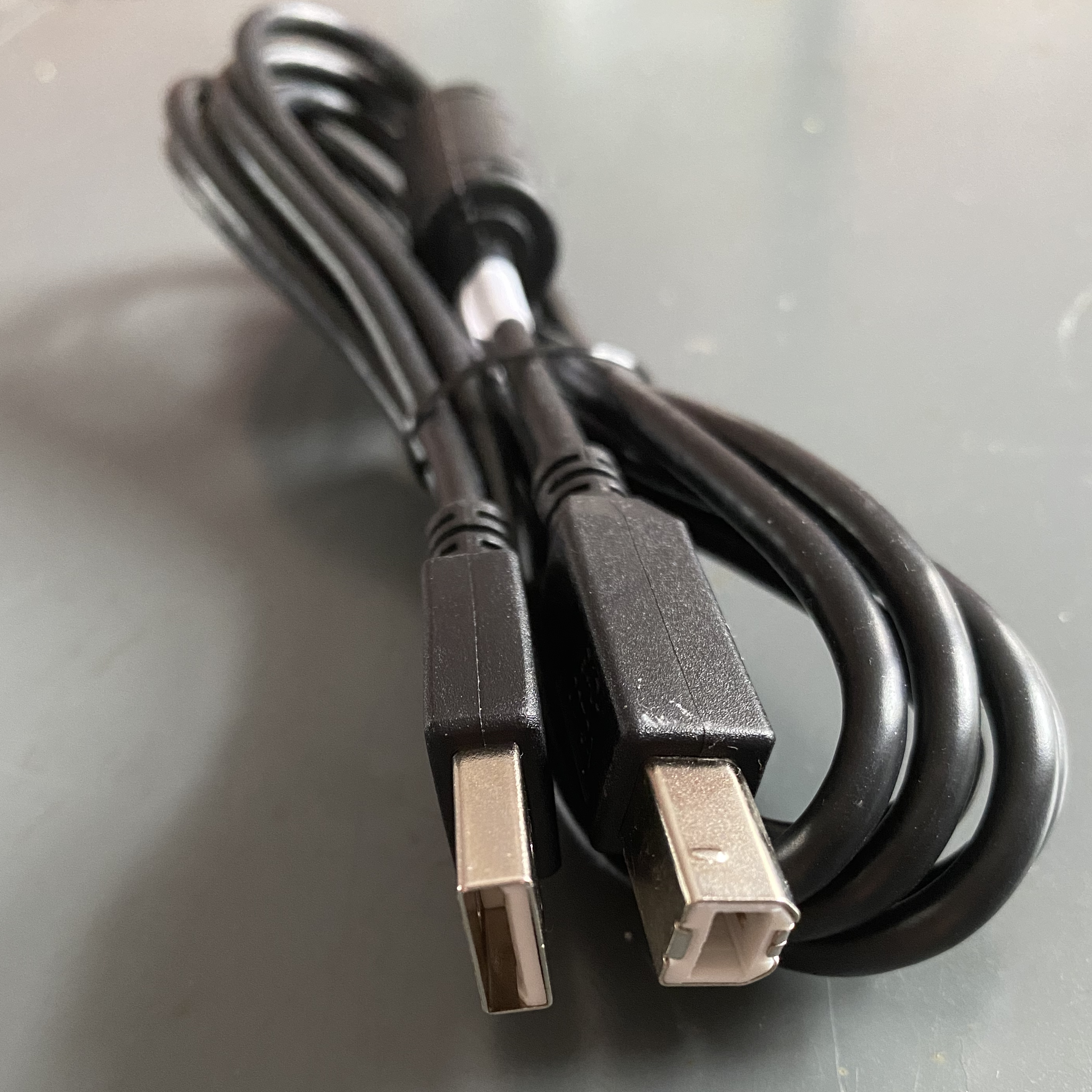 HP USB-C to USB-B Printer Cable (2m)